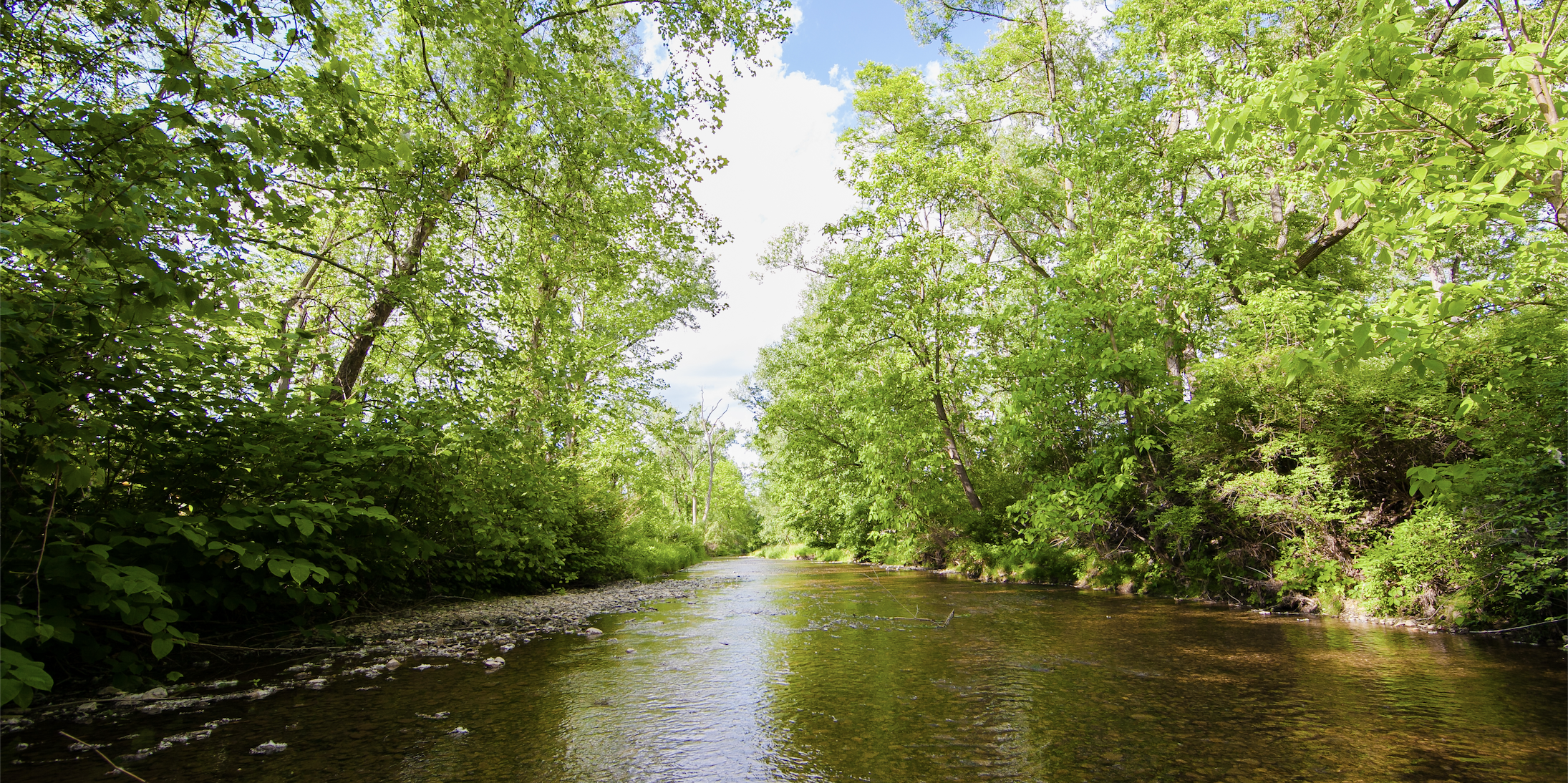 Watkins Glen Chamber of Commerce